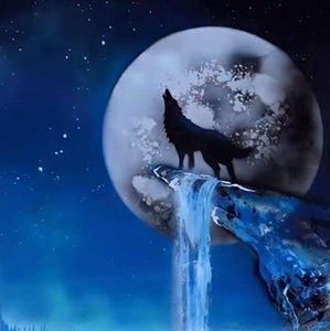 Meet your Posher, Whitney